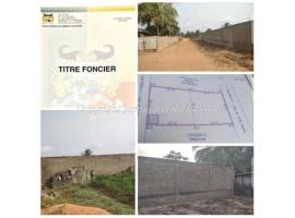 2 PARCELLES AVEC TITRE FONCIER SISES À GRAND-POPO (WODO CONDJI) 