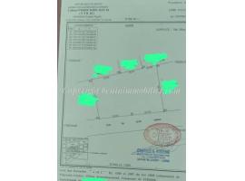 DOMAINE DE 04 PARCELLES ENSEMBLES A VENDRE A FIDJROSSÈ JACQUOT