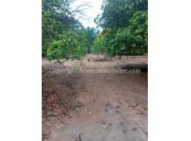 DOMAINE CLÔTURÉ EN ANGLE DE RUE À VENDRE, ZOGBADJÈ 