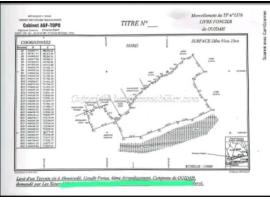 VENTE DE 28 HECTARES ENSEMBLE AU BORD DU LAC AHEMÉ À OUIDAH AHOUICODJI