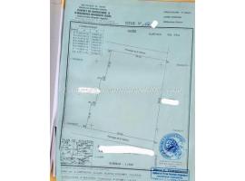 GRANDE PARCELLE AVEC TITRE FONCIER À VENDRE