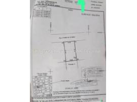 PARCELLE CLÔTURÉE, HOUDOU ALI - HOUÉNOUSSOU - FIDJROSSÈ PLAGE